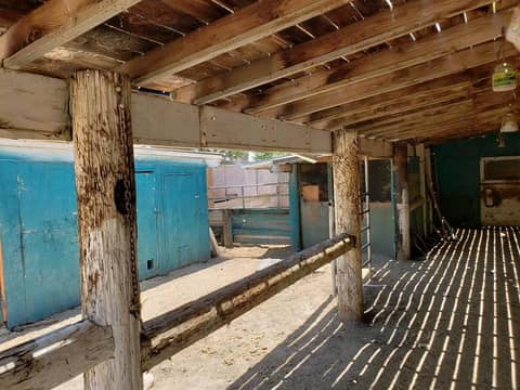 Horse Ranch with Stables and Covered Barns, photo 7