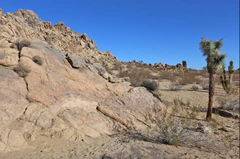 Boulder-Strewn Desert Land with Joshua Trees, photo 6
