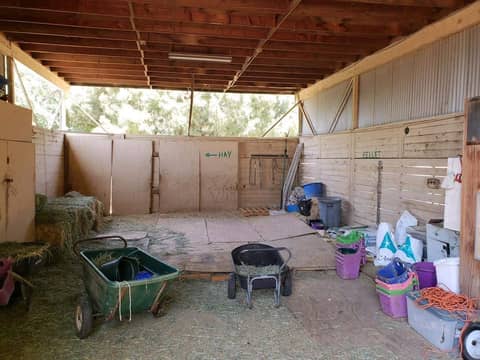 Horse Ranch with Stables and Covered Barns, photo 6