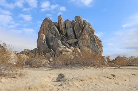 Boulder-Strewn Desert Land with Joshua Trees, photo 5