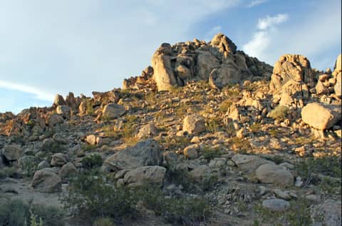 Boulder-Strewn Desert Land with Joshua Trees, photo 9
