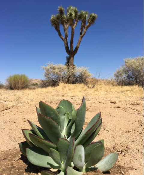 Open High-Desert Lot with Rock Formations, photo 5