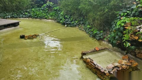 Wood-Beamed Ranch Home with Koi Pond, photo 6
