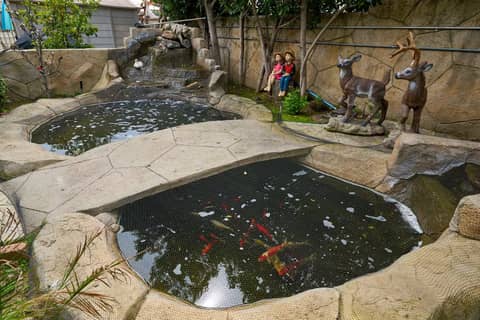 Resort Pool Home with Grotto, Waterslide and Cave Bar, photo 4