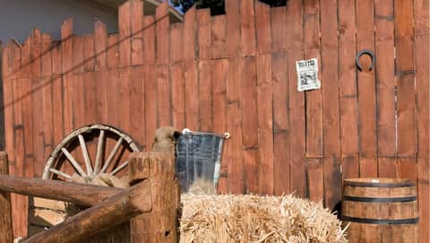 Multi-Set Studio with Themed Sets, photo 4