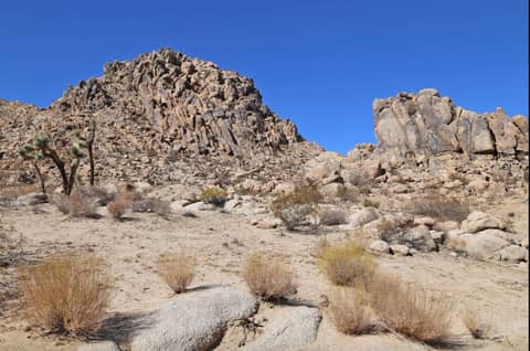 Boulder-Strewn Desert Land with Joshua Trees, photo 8