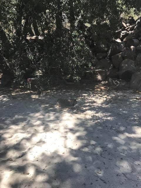 Rustic Canyon Ranch with Oak Creek Bed and RV, photo 4