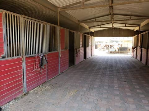 Horse Ranch with Stables and Covered Barns