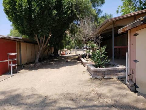 Horse Ranch with Stables and Covered Barns, photo 5