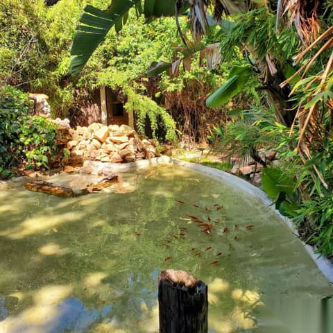Wood-Beamed Ranch Home with Koi Pond, photo 5